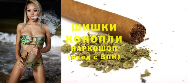 мдпв Богородск