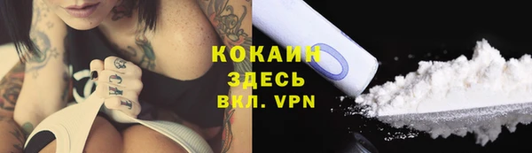 соль ск Бронницы