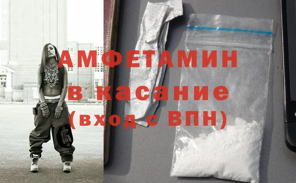 сатива Беломорск
